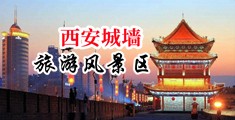 插穴人兽中国陕西-西安城墙旅游风景区